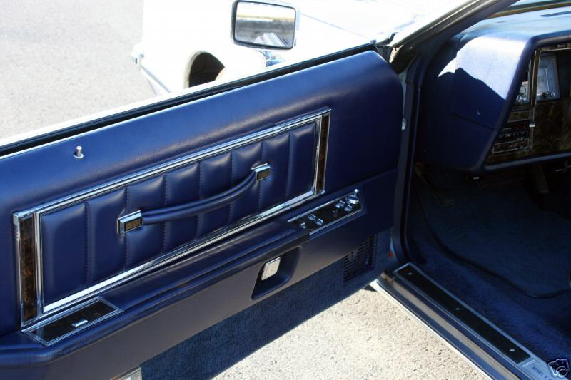 1979 Continental Mark V Givenchy door panel 